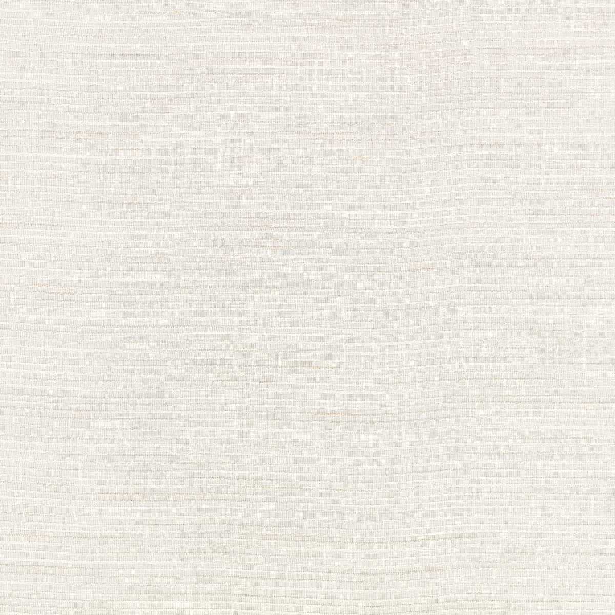 Strand Silverbirch