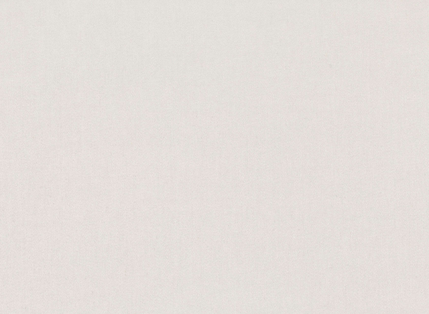 Tate Silverbirch M480-04