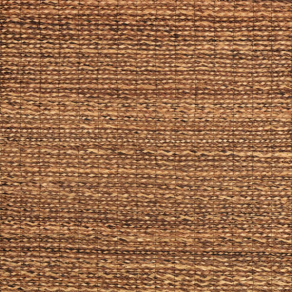 Tressage Bark