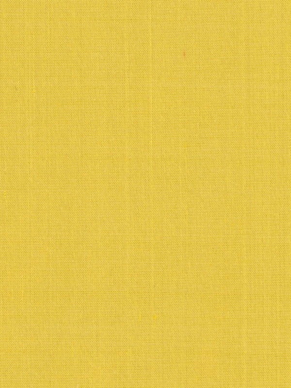Markham Lemon