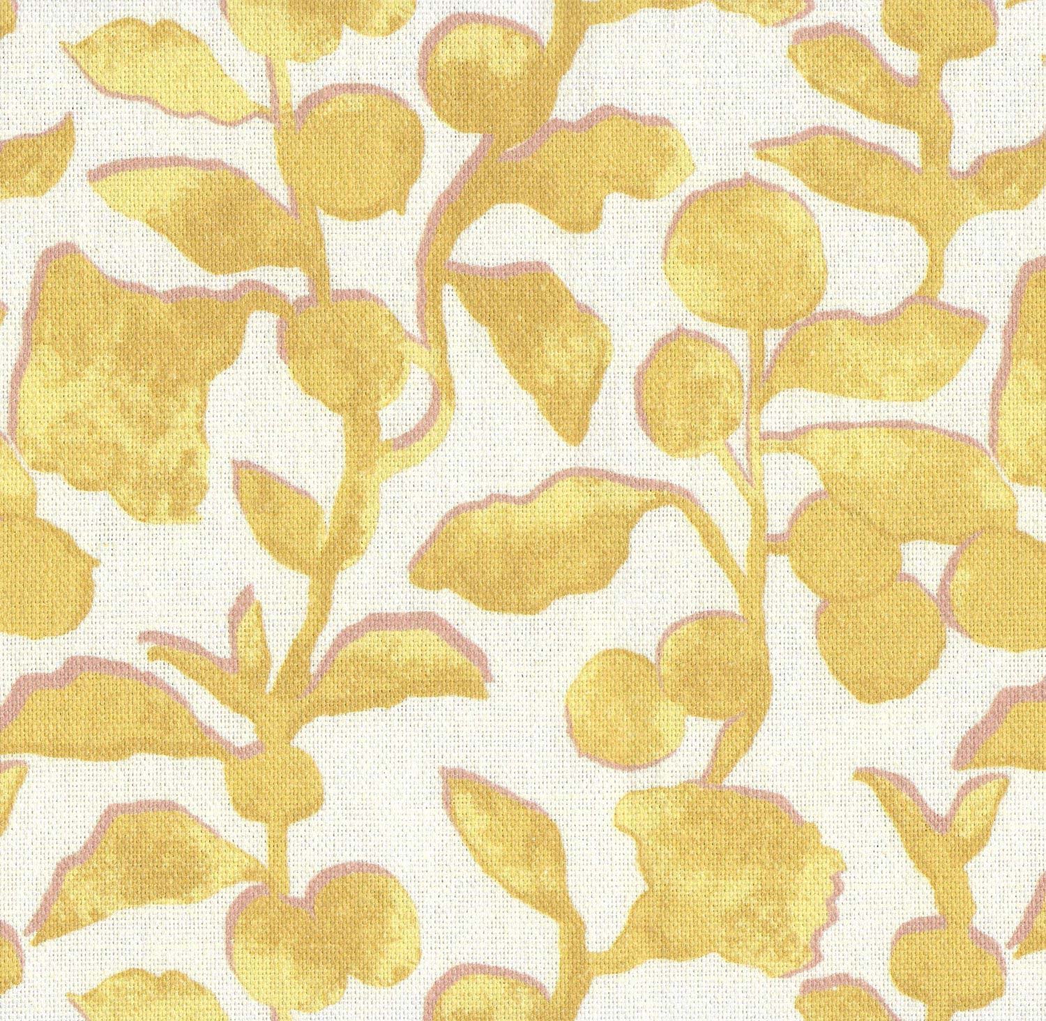 Capri 8010-1