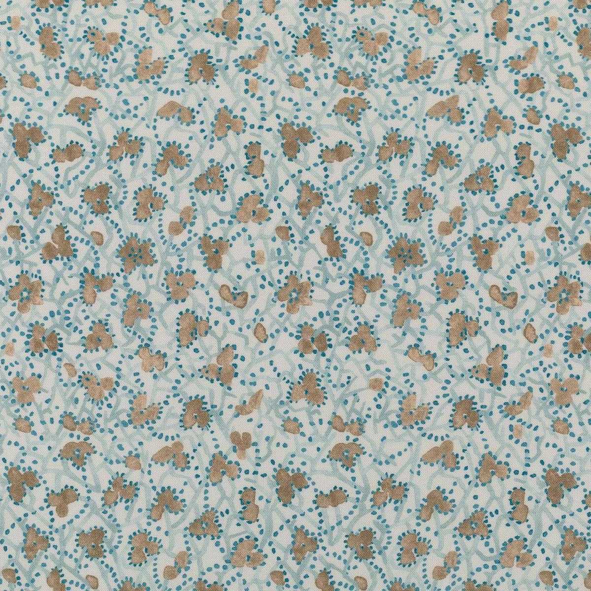 Myosotis 7263-1