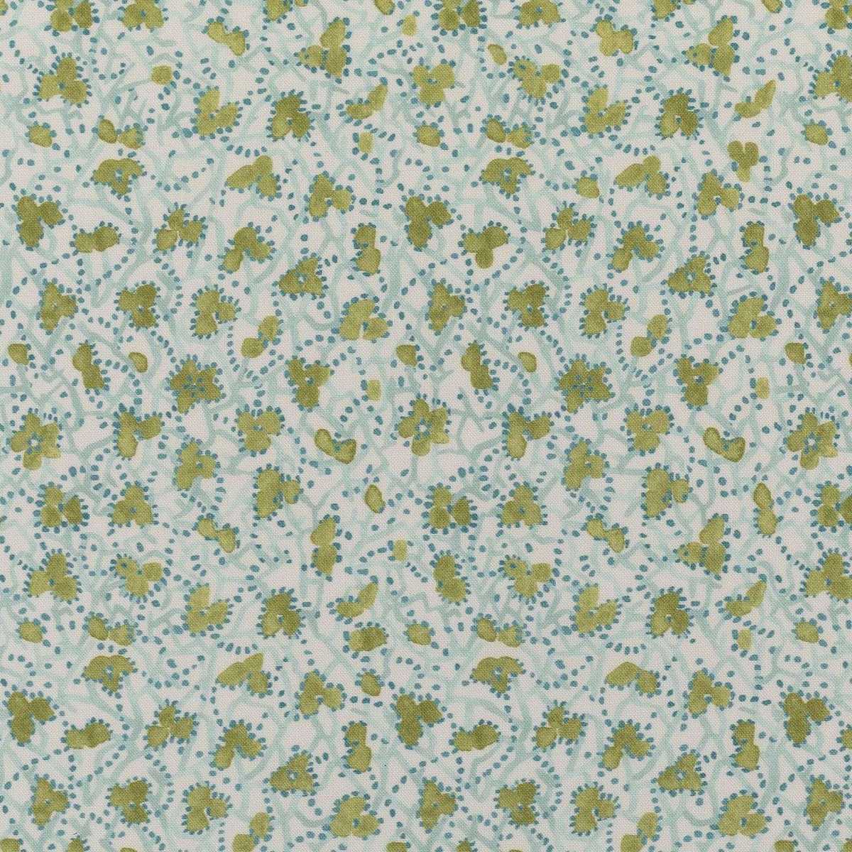 Myosotis 7263-2