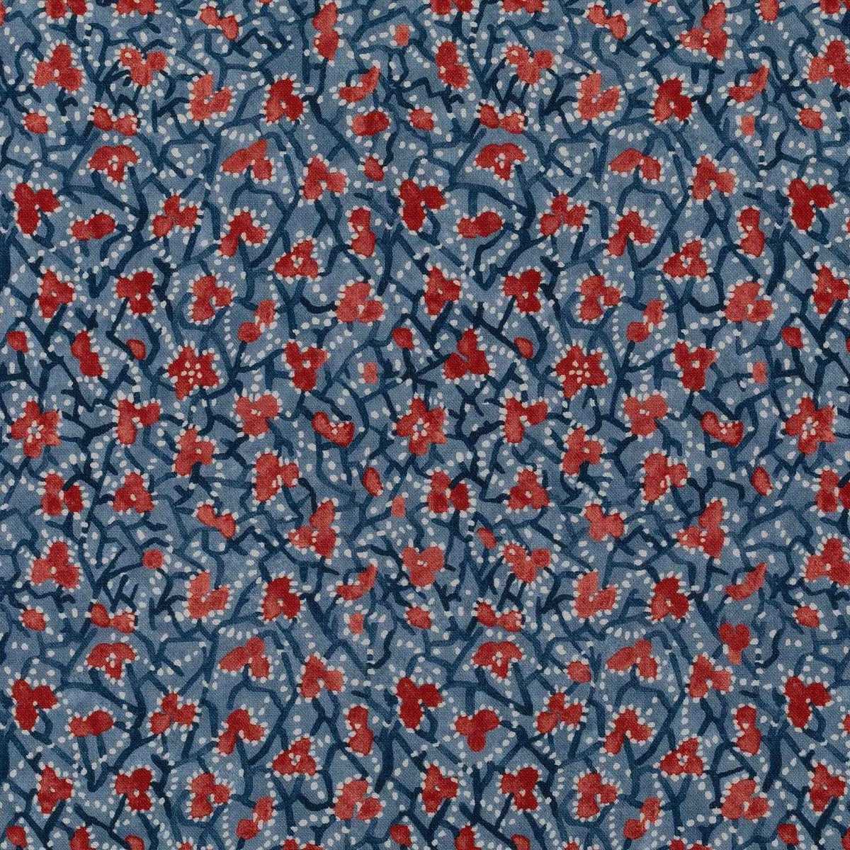 Myosotis 7263-4