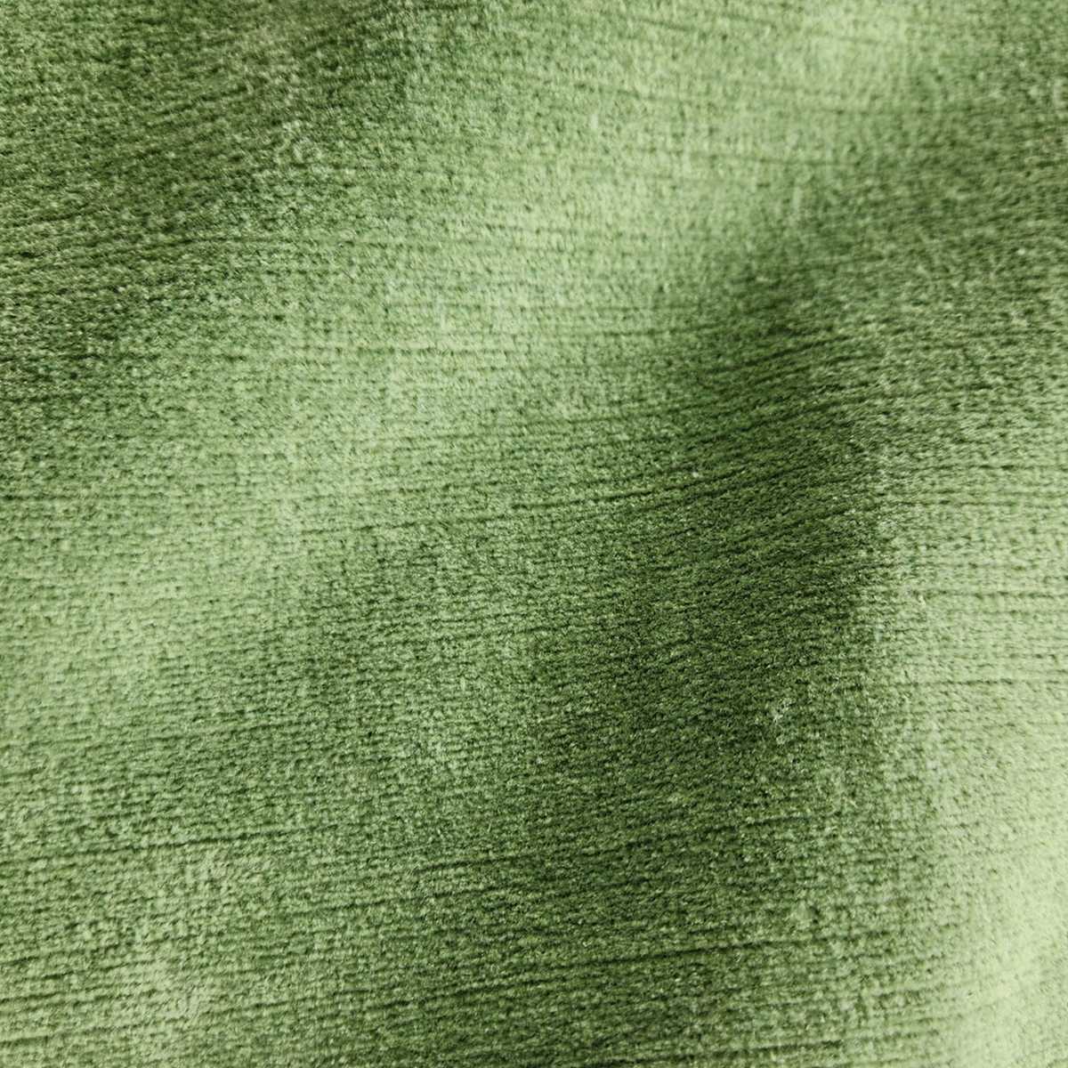 Titian 5669-53