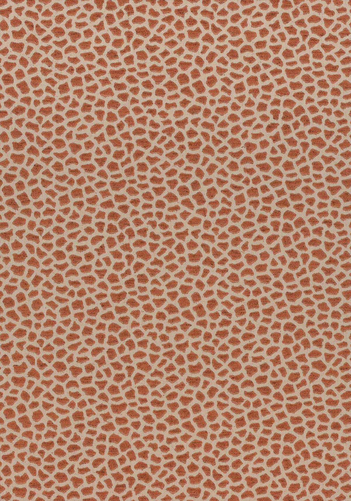 Masai W80424