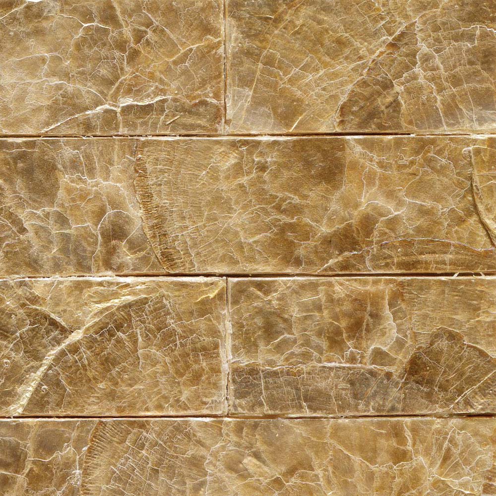 Flexi Mother of Pearl MR-MPS-02