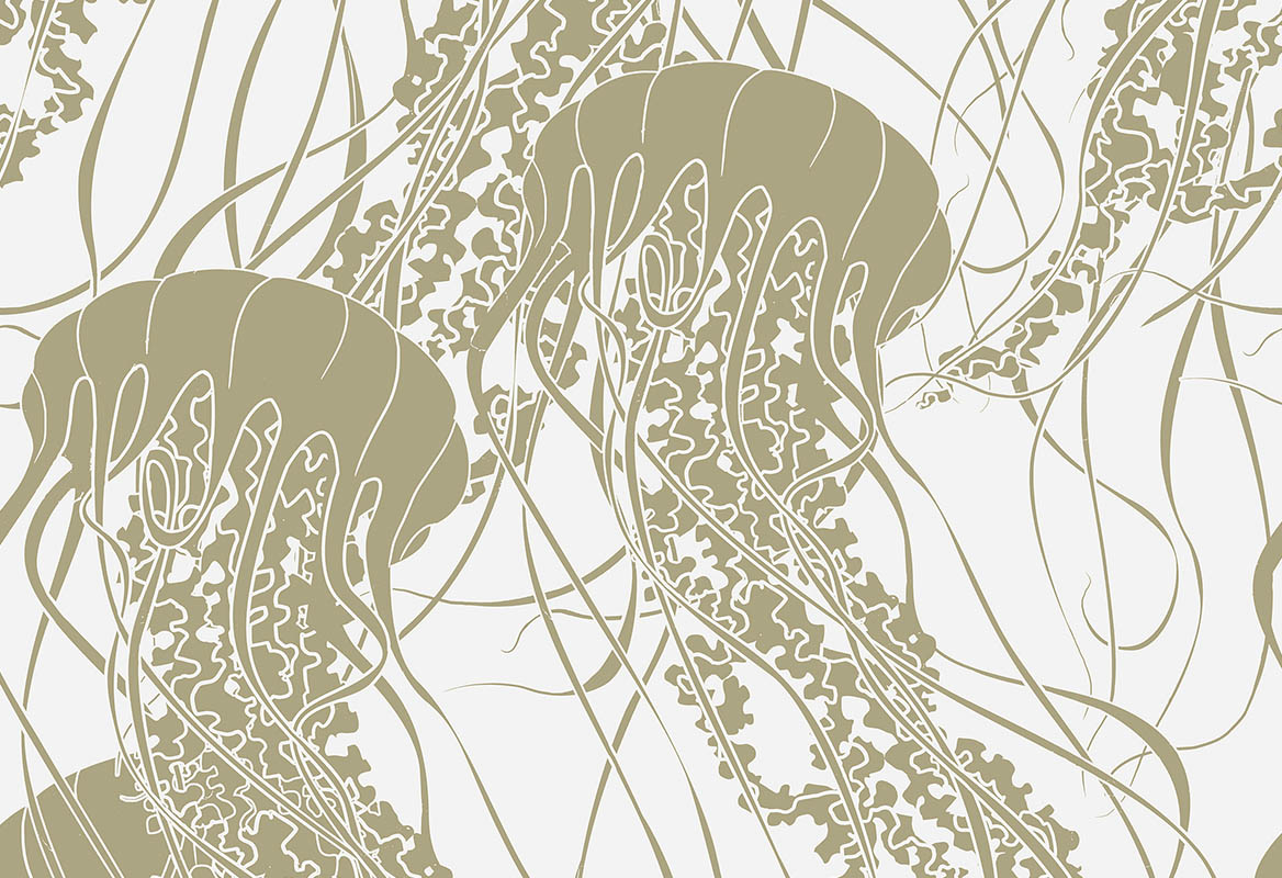 Meduse 70070