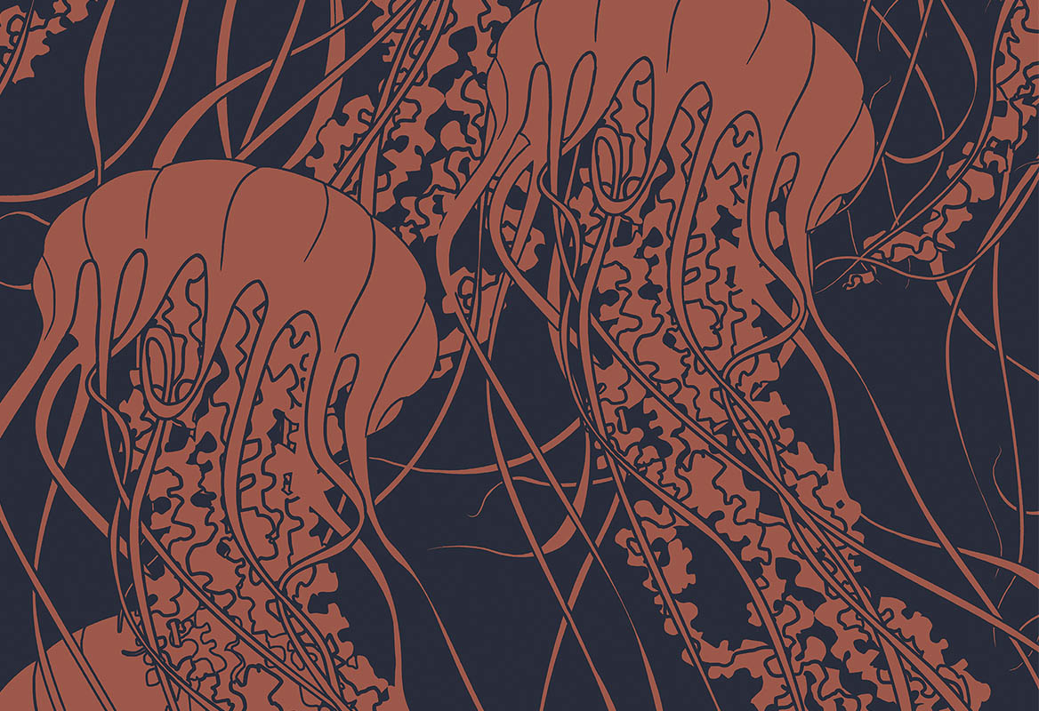 Meduse 70072