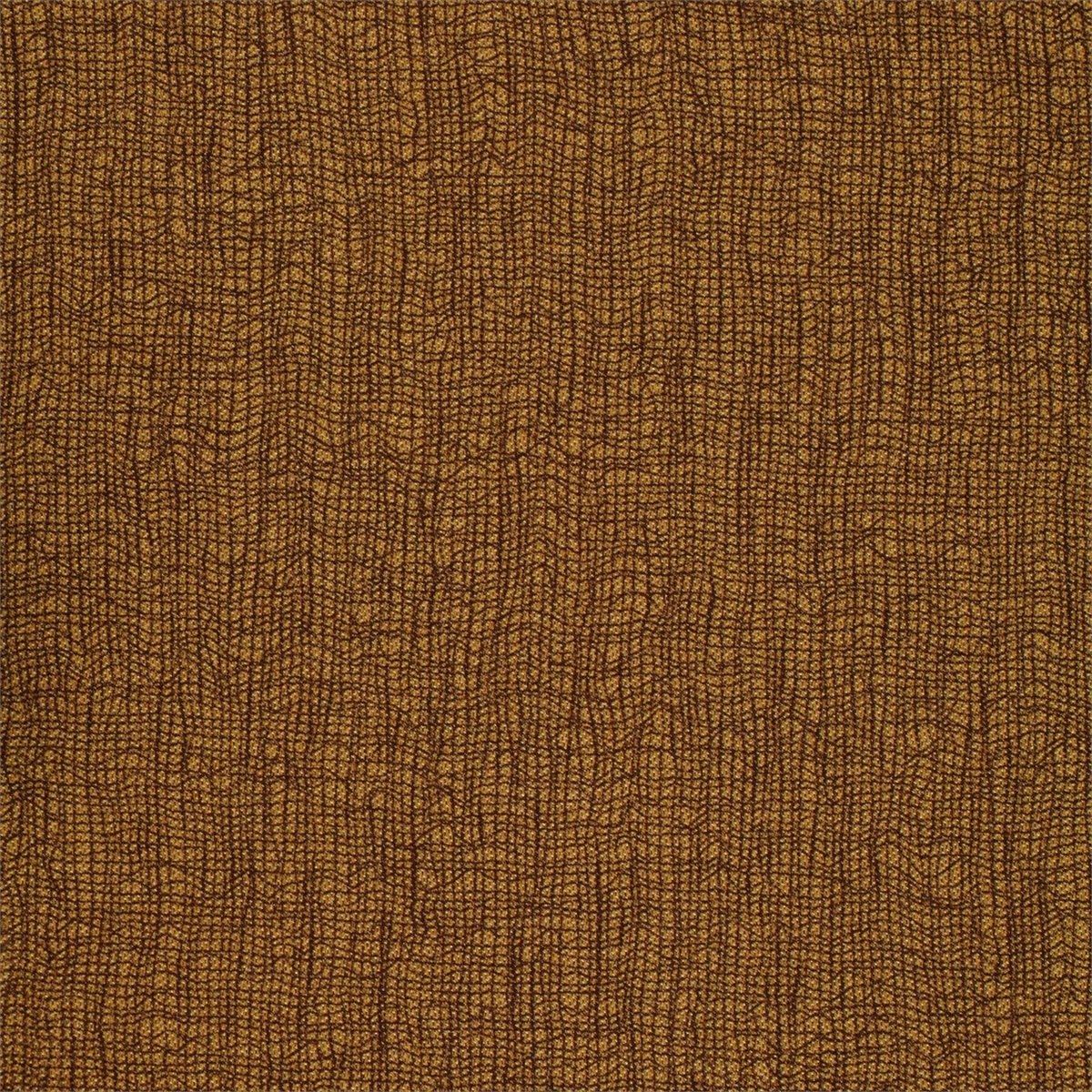 Mesh 132121