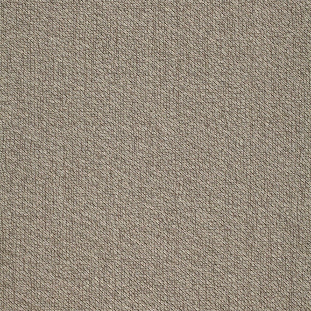 Mesh 132124