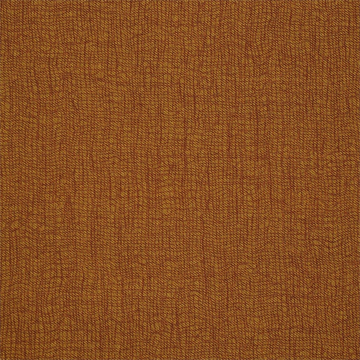 Mesh 132138