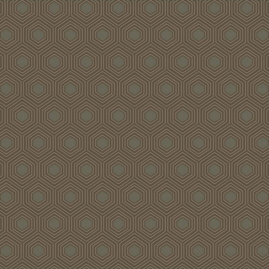 Metagraphic MTA41