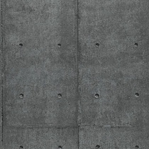 Metal Plate 01 Pewter
