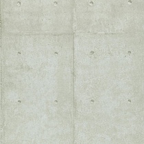 Metal Plate 13 Fossil