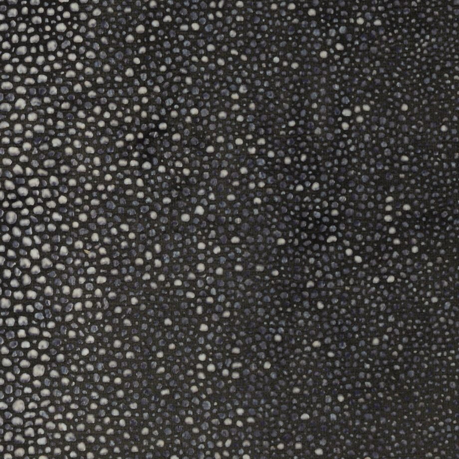 Abysses 71241-003