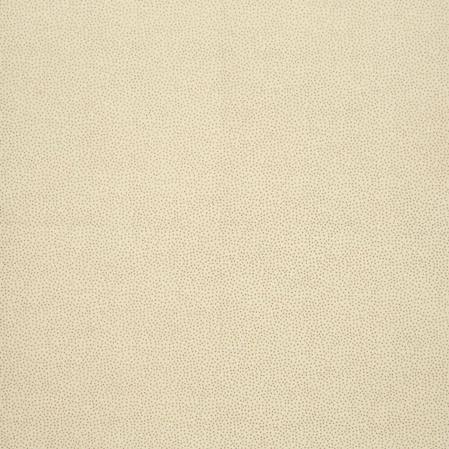 Belle Etoile 71301-001