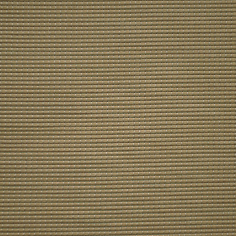Canisse 71176-006