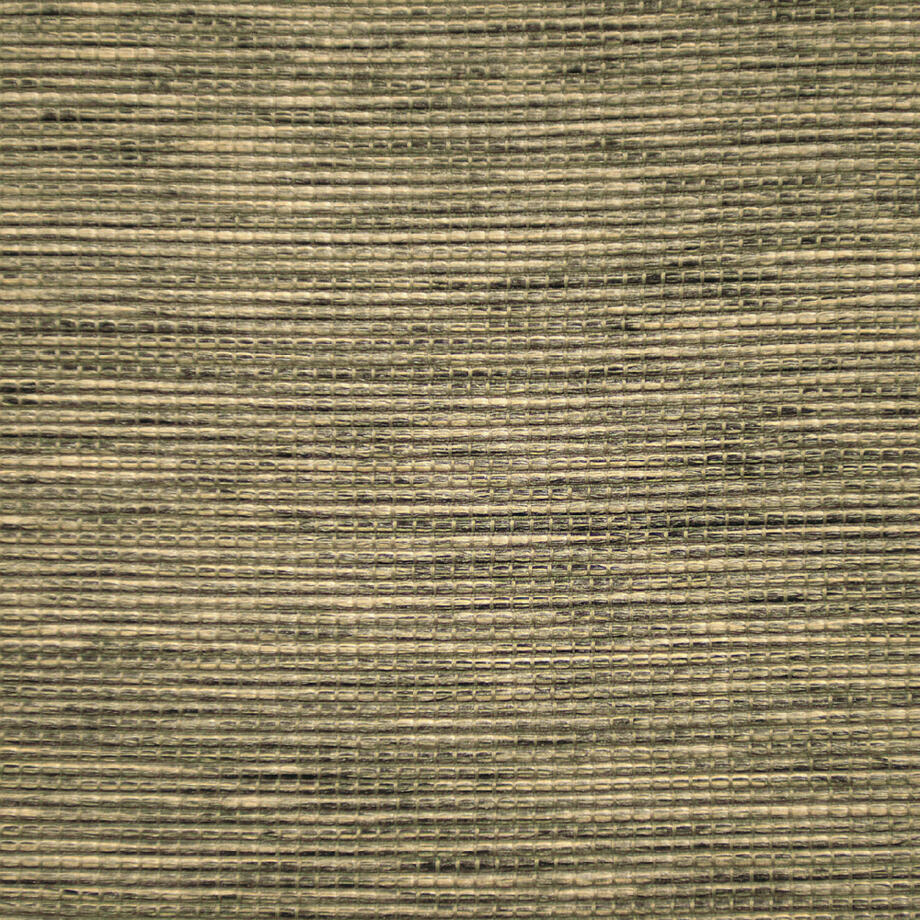 Canisse 71176-007