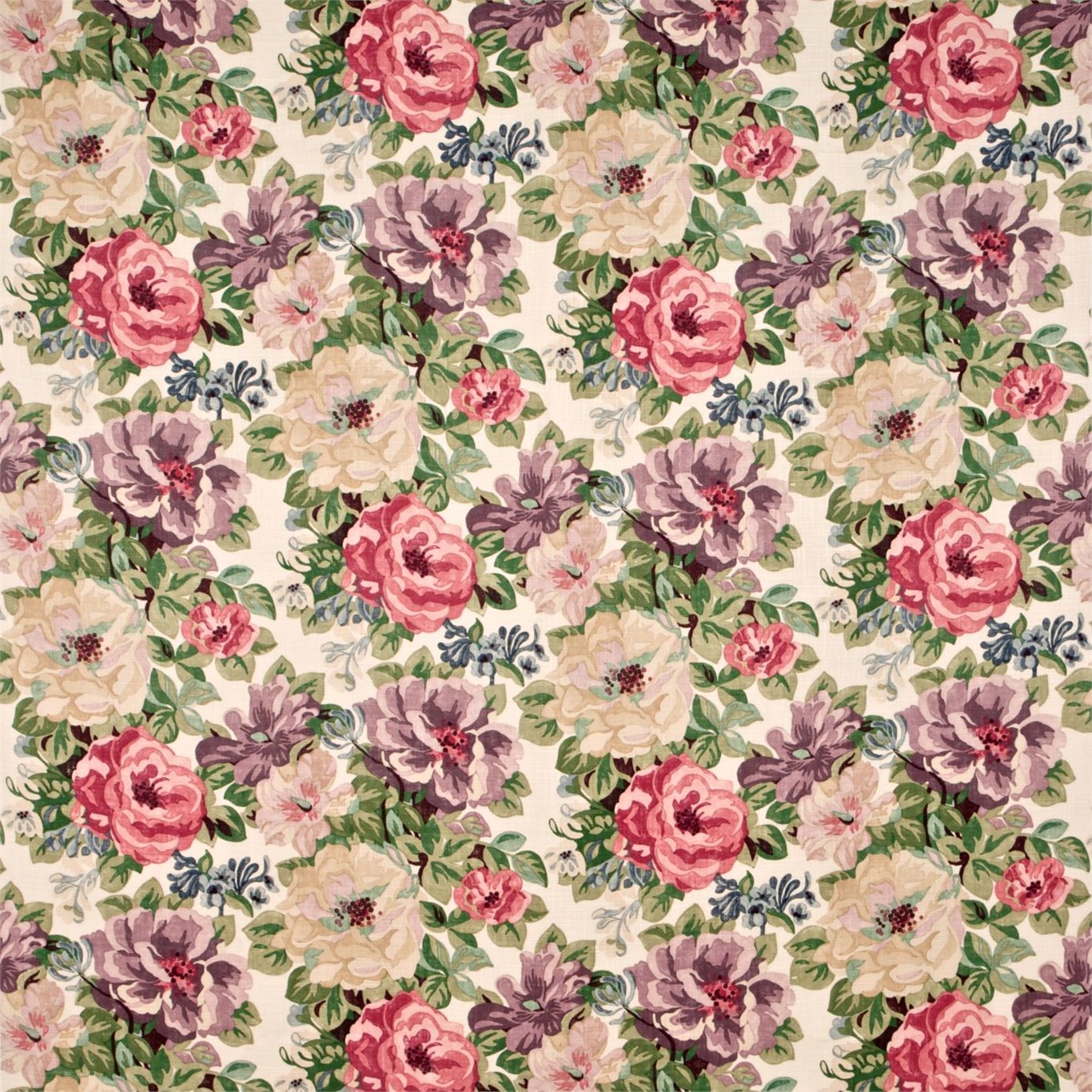 Midsummer Rose DCAVMI201