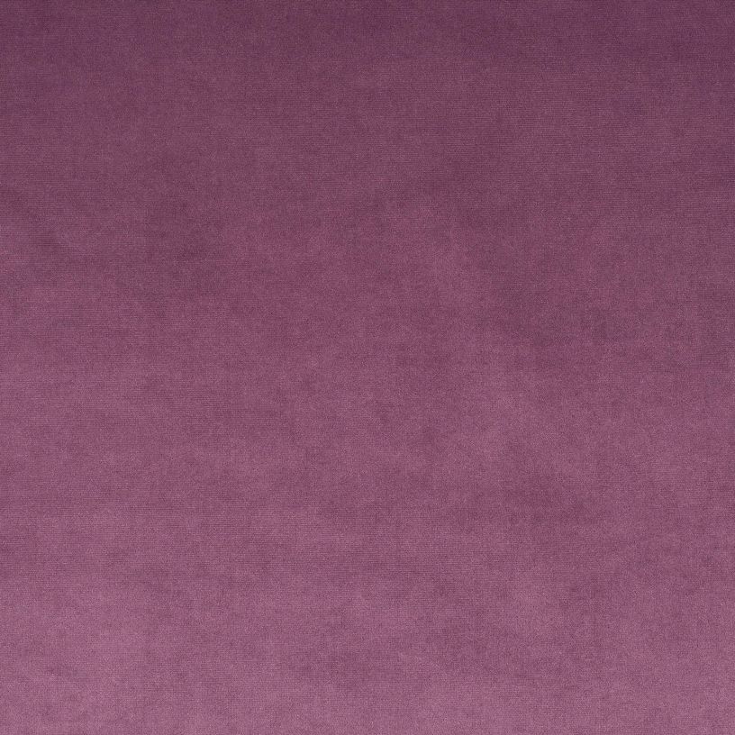 Milford Grape MI1823