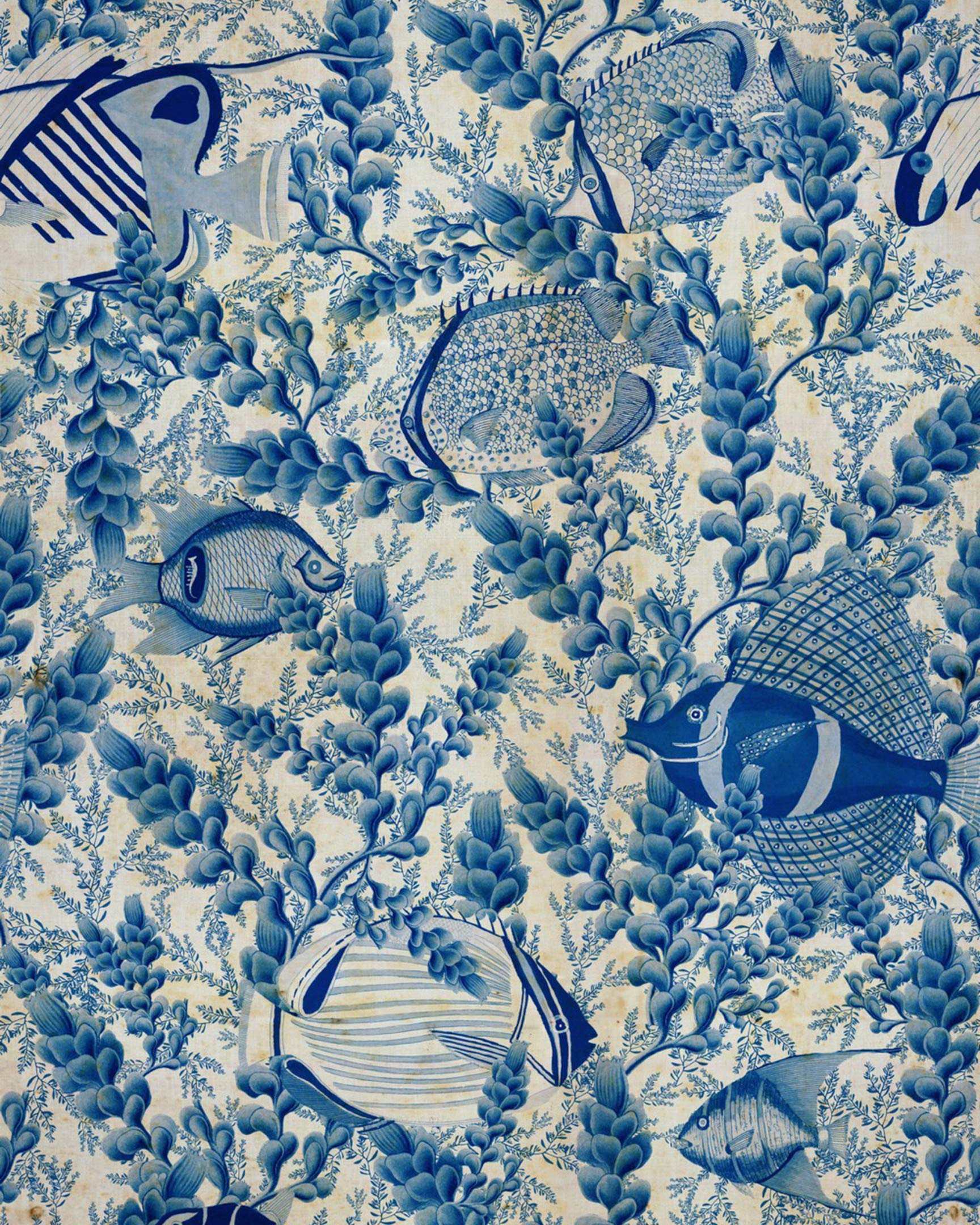 Aquarium Indigo WP20568