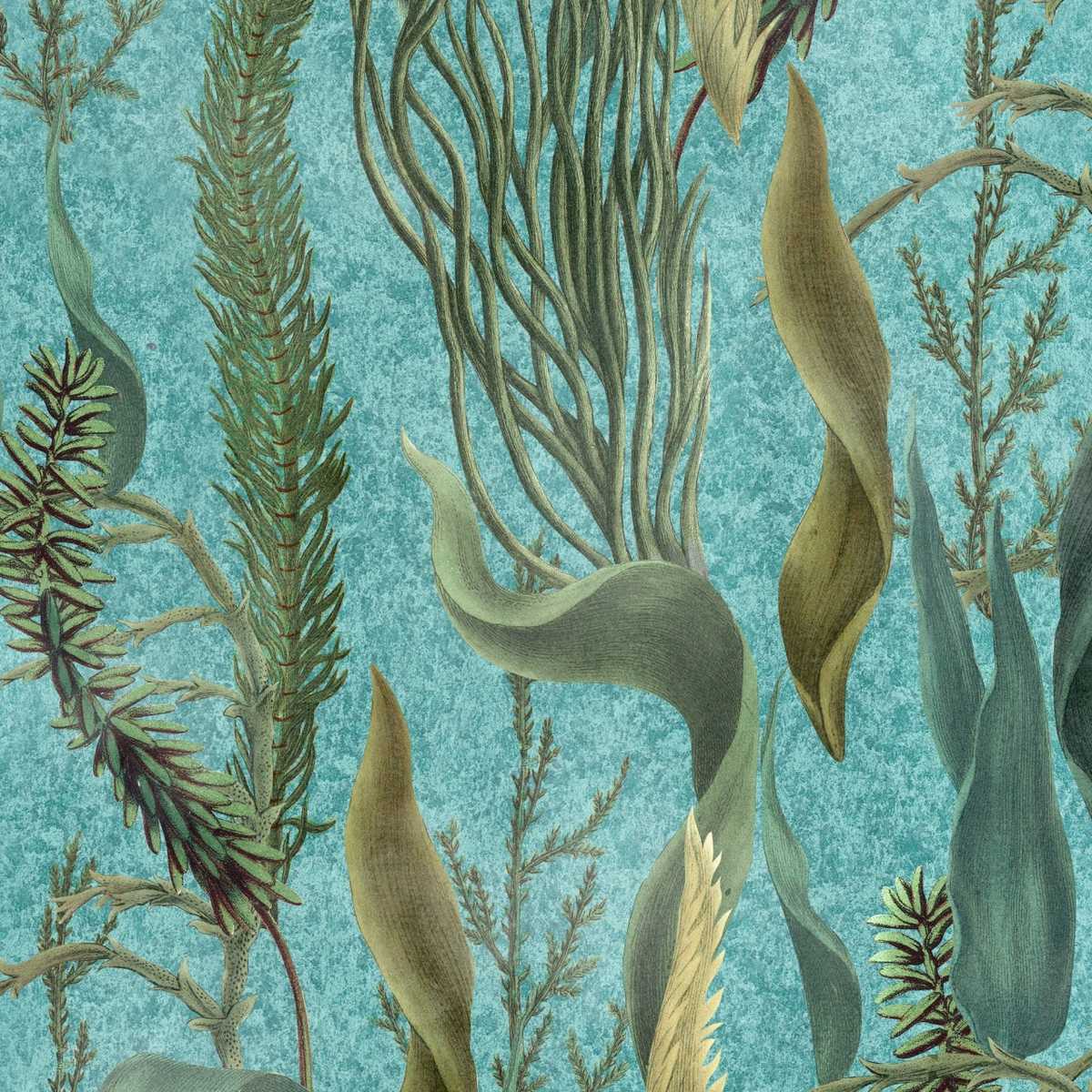 Aquatic Plants WP20716