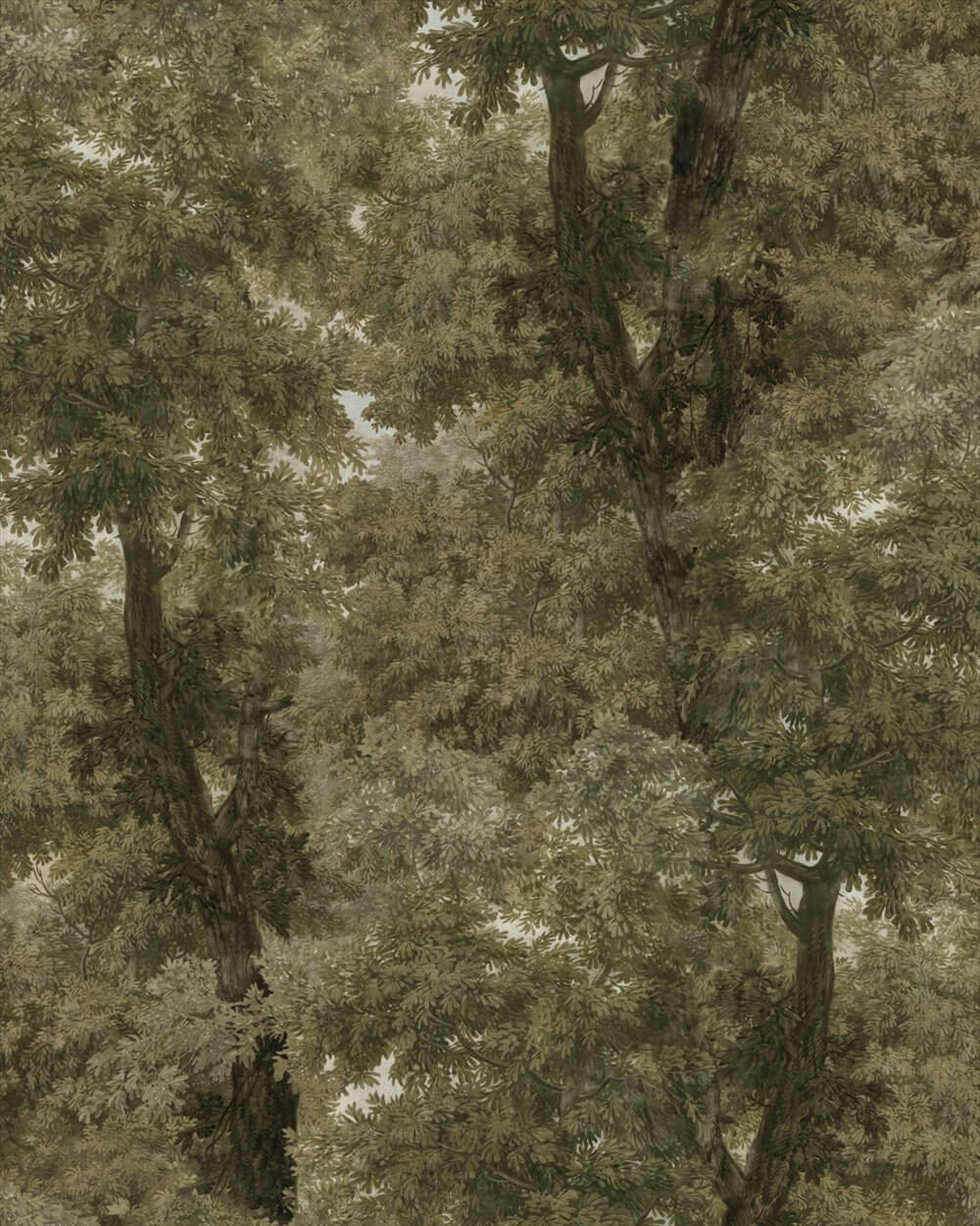 Branchy WP20786