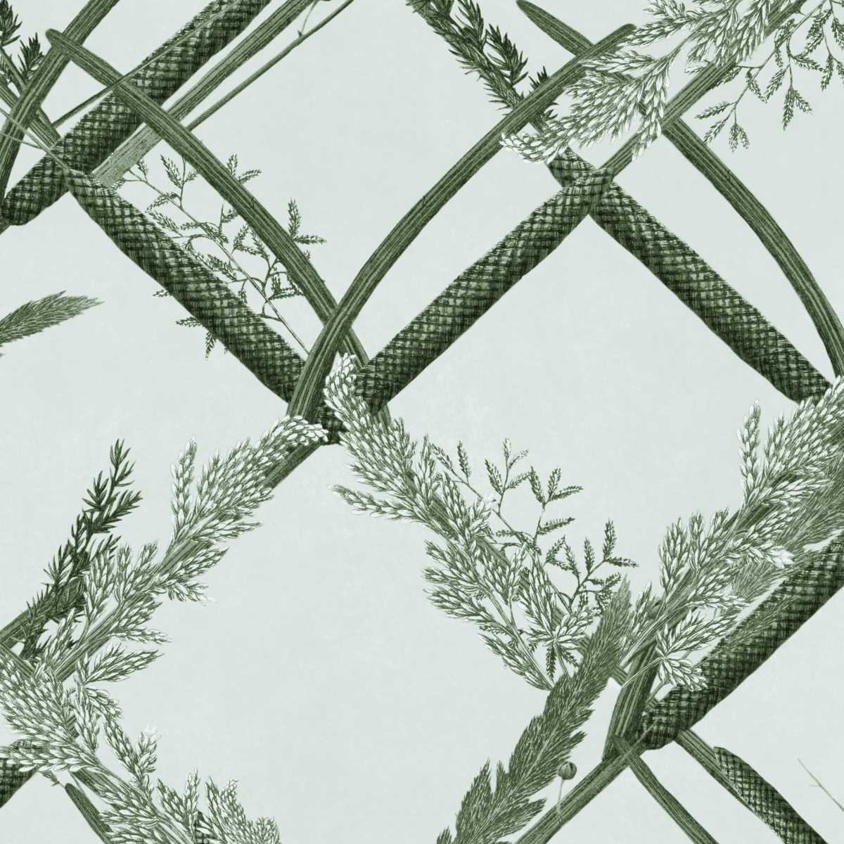 Ornamental Reed WP30162
