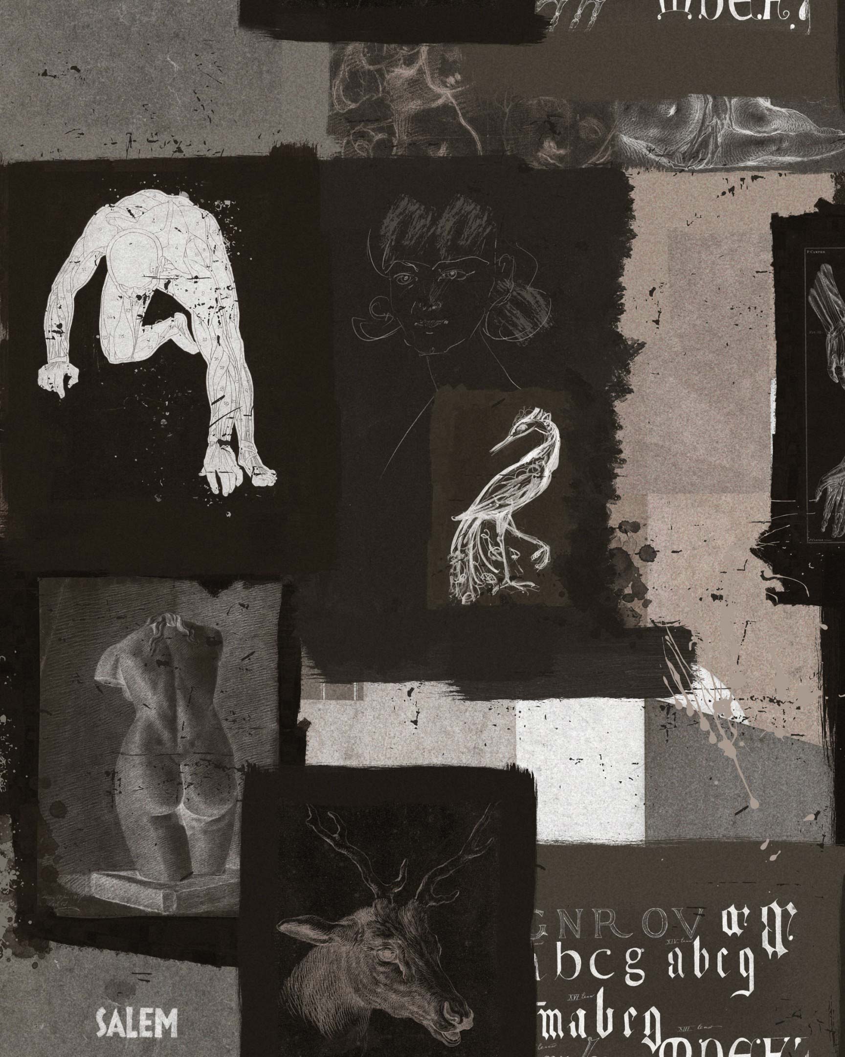 The Studio Dark WP20603