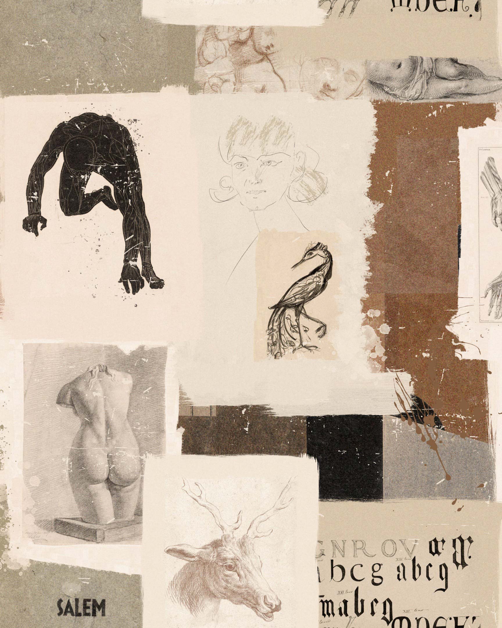 The Studio WP20604