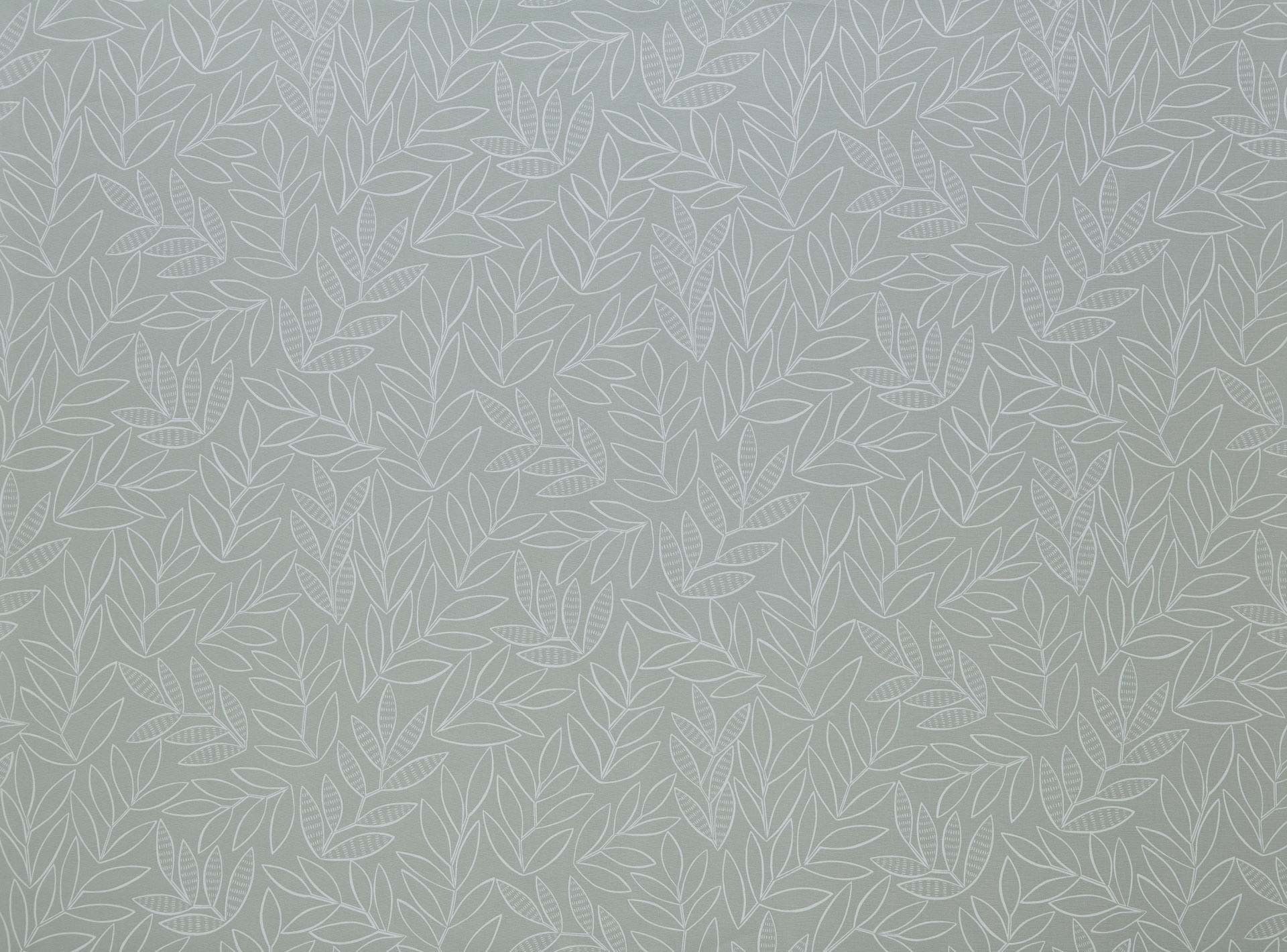 Laurus LAURUSST
