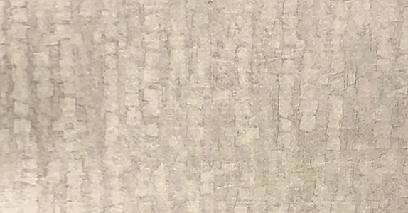Mist MST-004