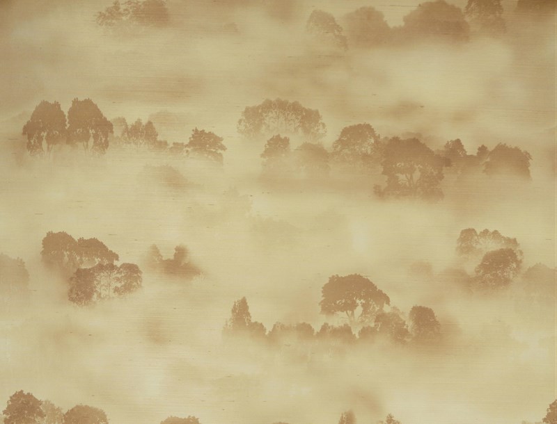 Misty Forest JT02 1048 002