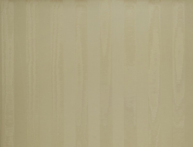 Moire Stripe JT02 1045 001