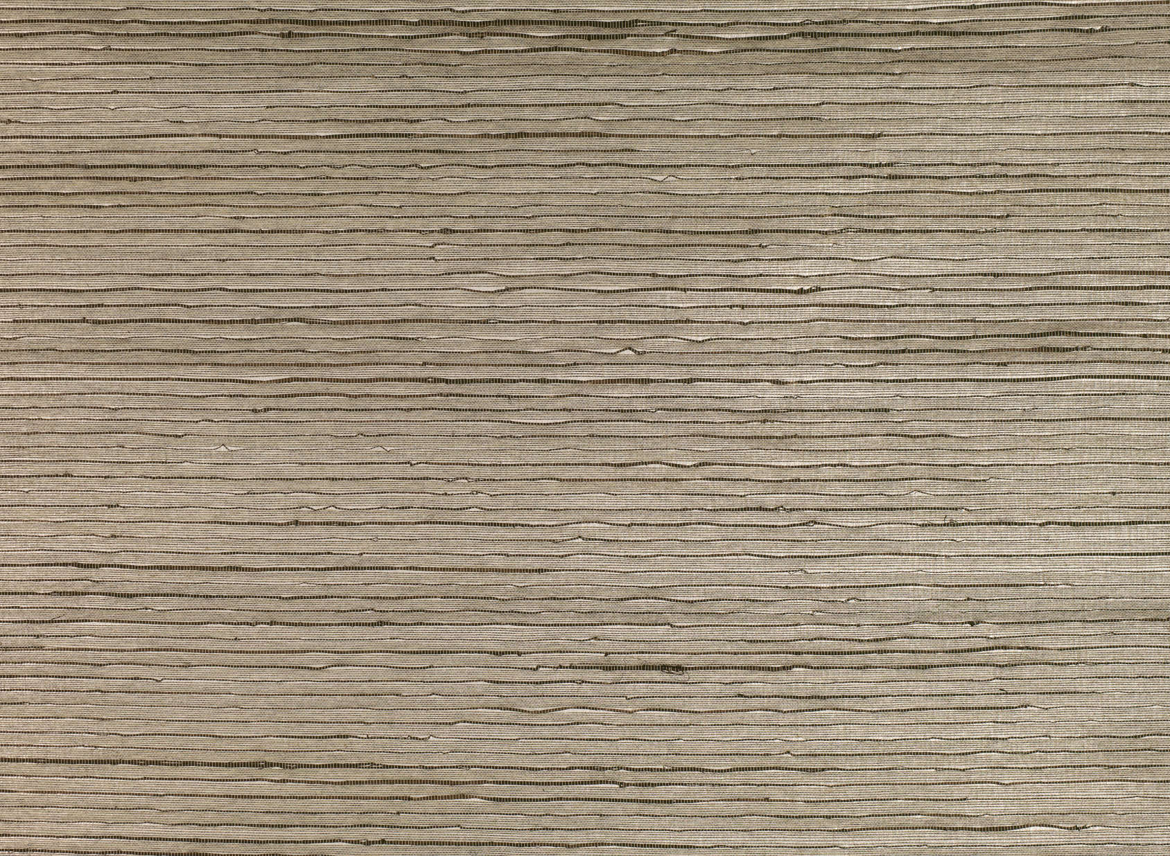 Monazite ZW131-01