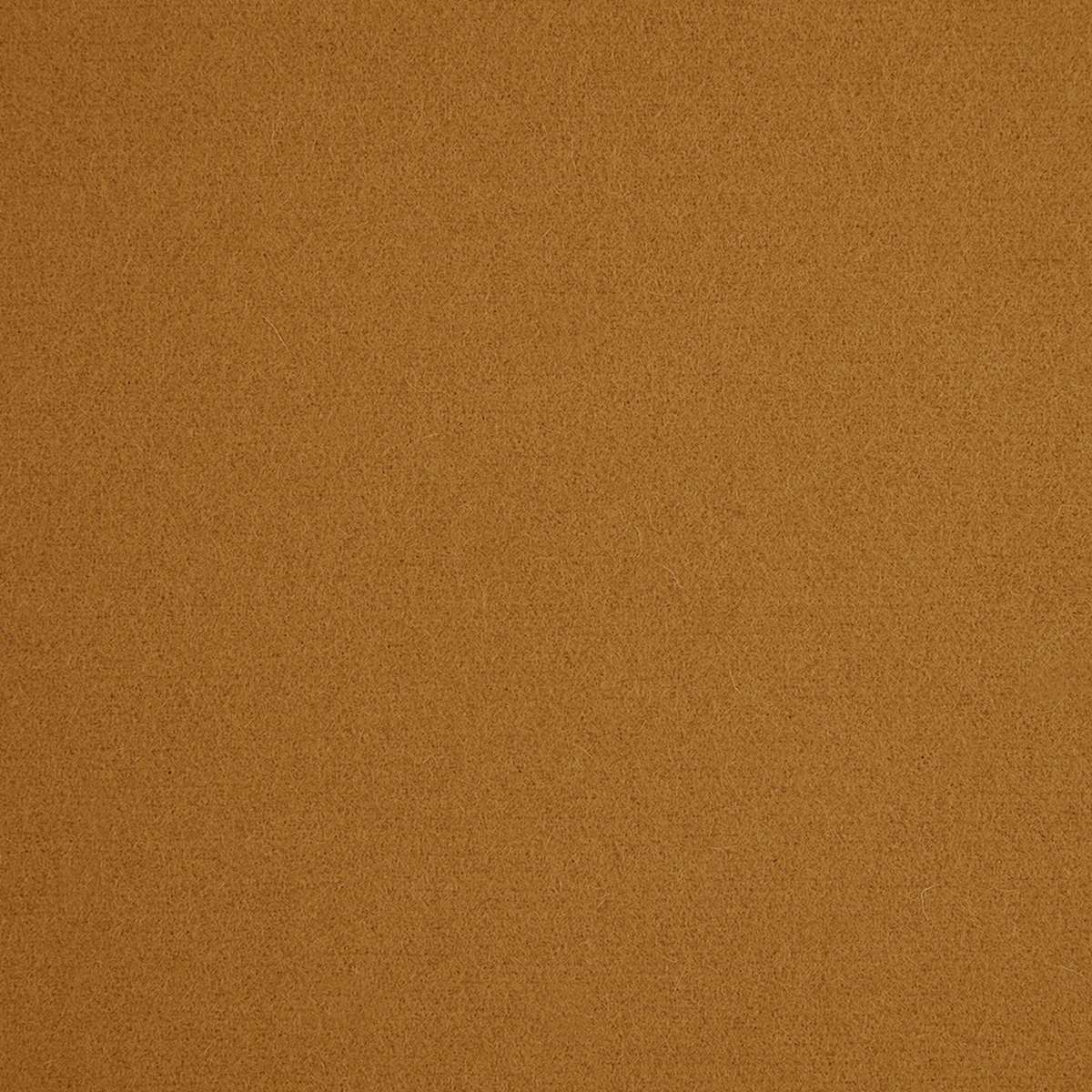 Spectrum U7974-X2009