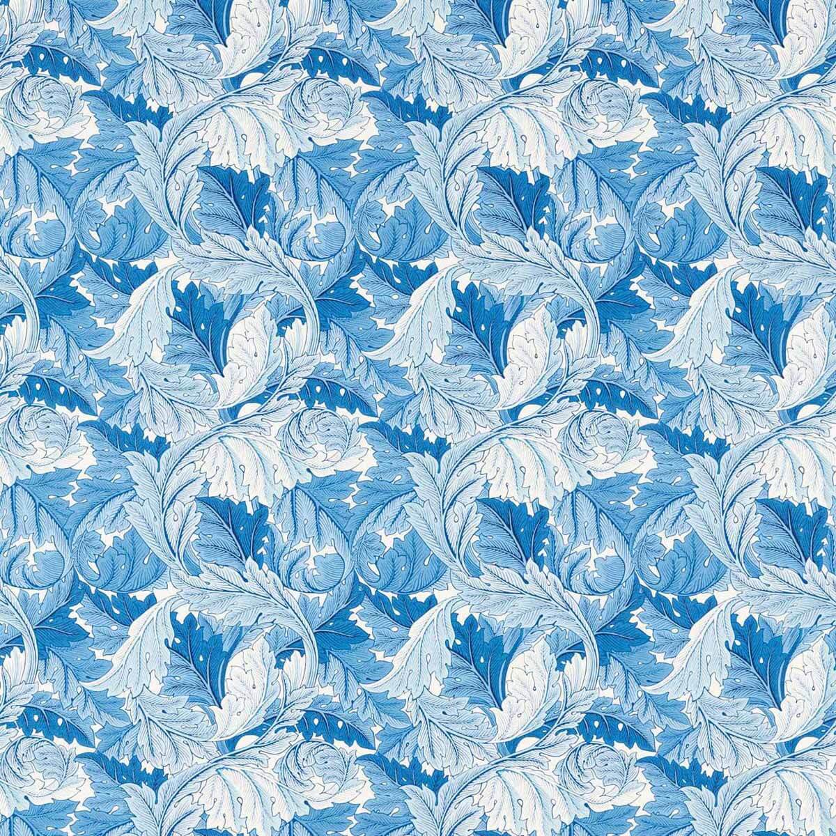 Acanthus 226897