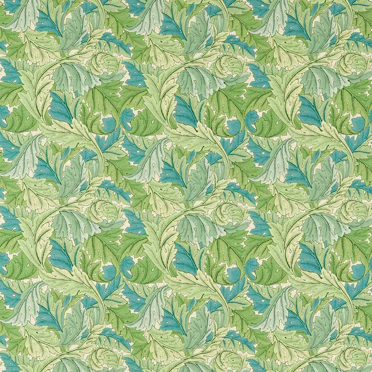 Acanthus 227114