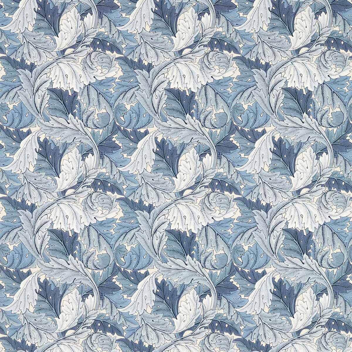 Acanthus 227115