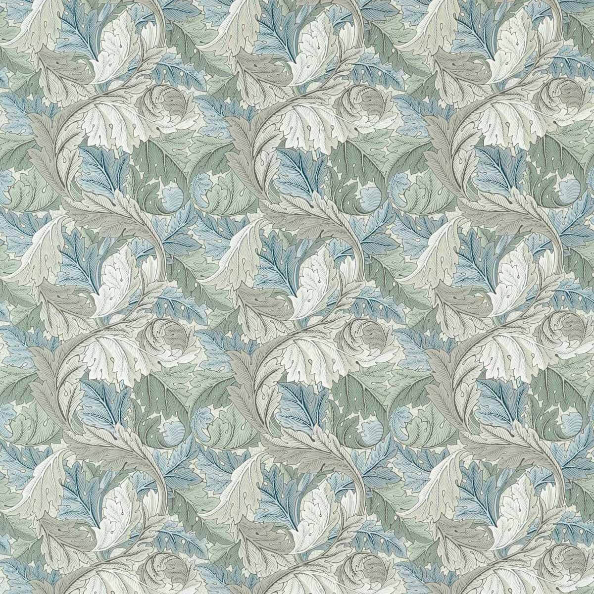 Acanthus 227116