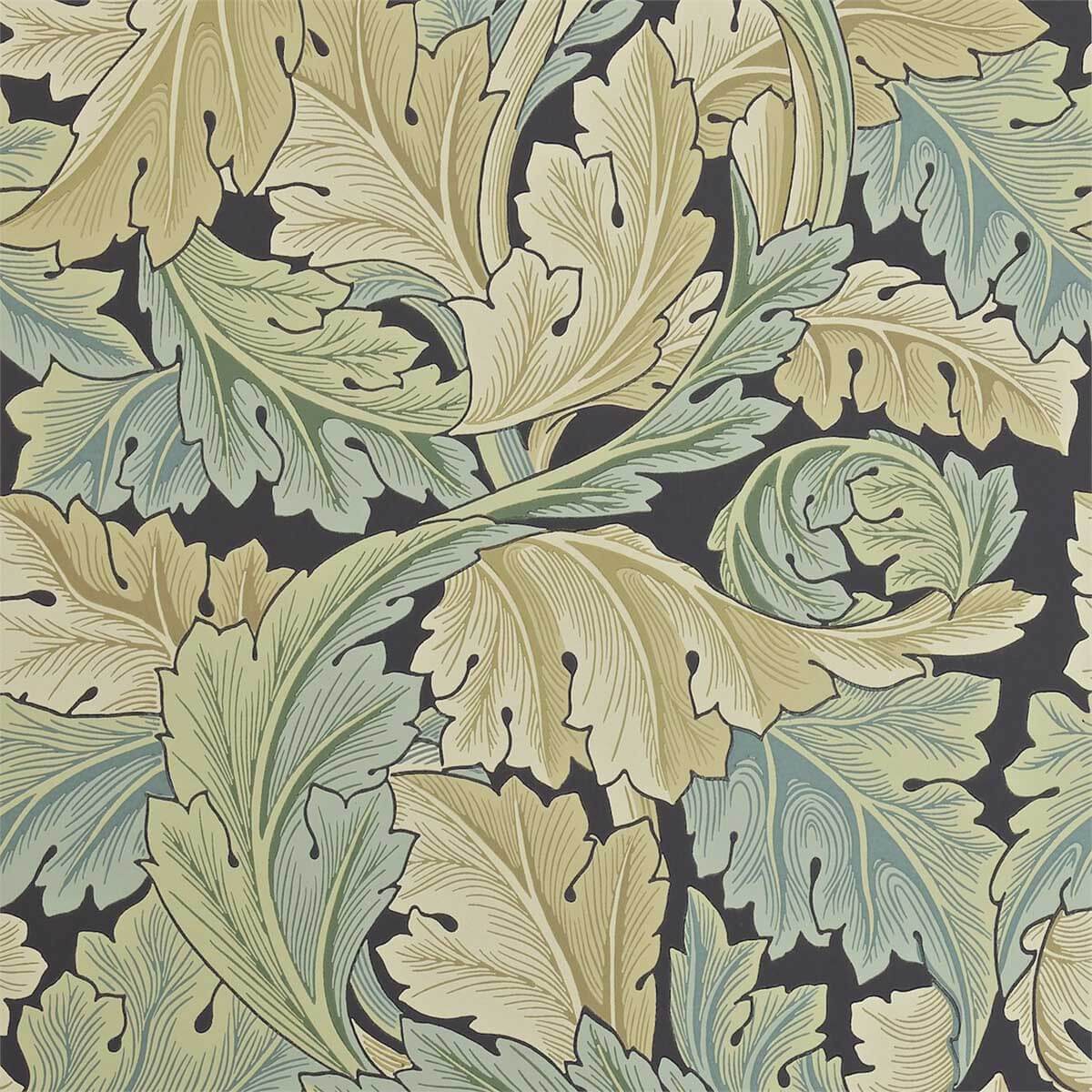 Acanthus 212550