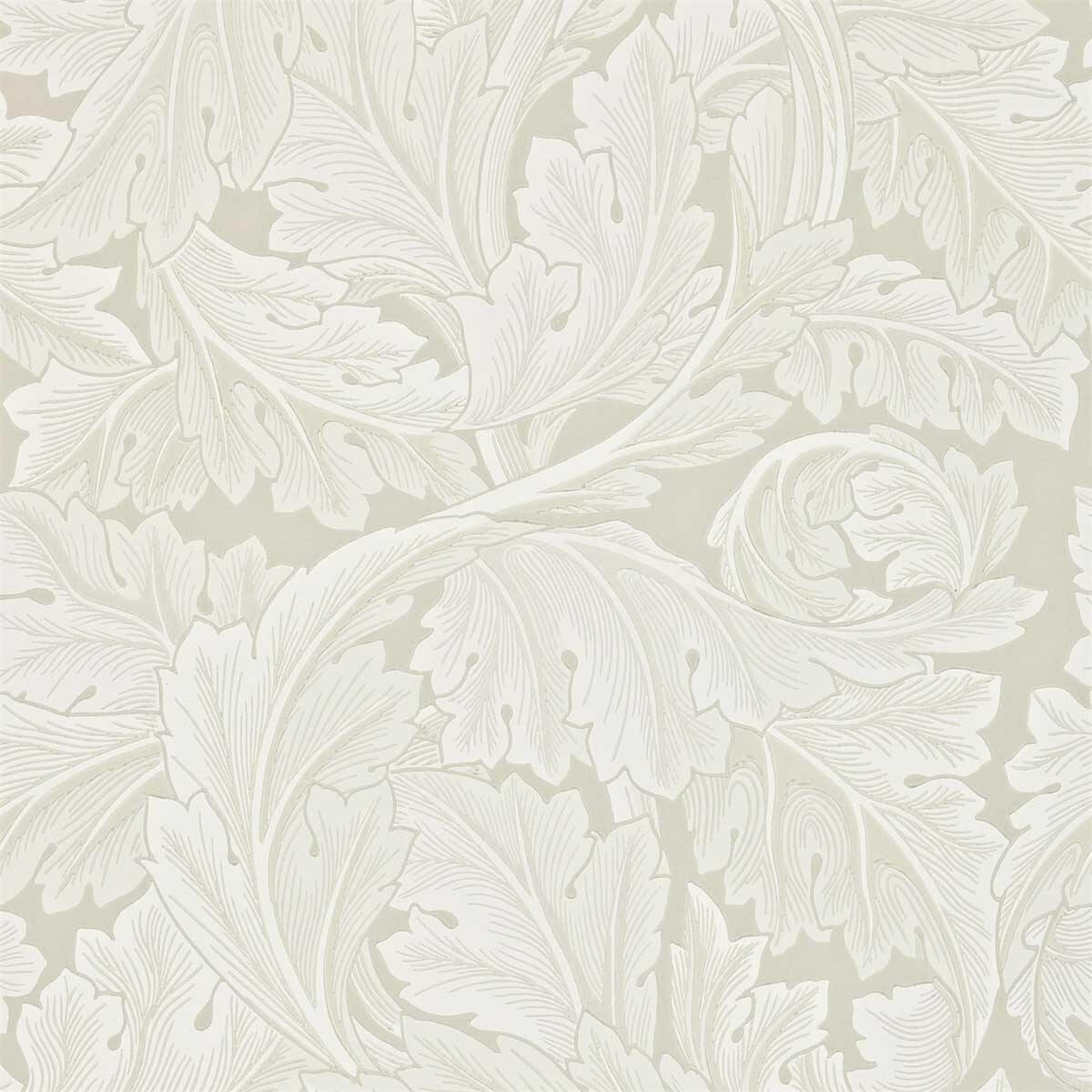 Acanthus 212554
