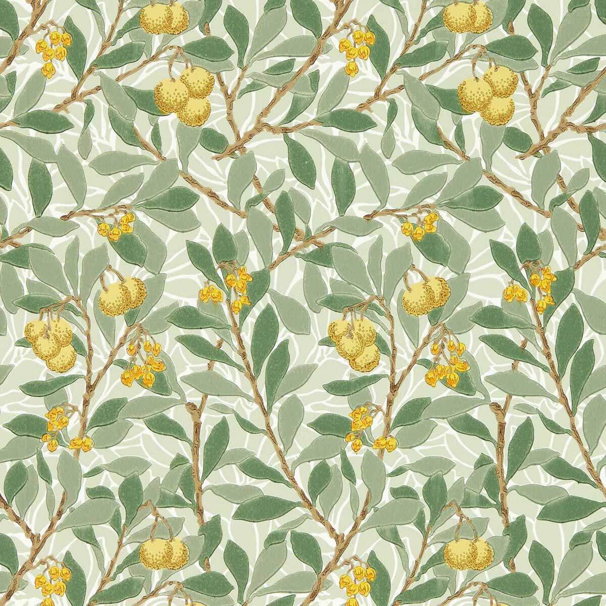Arbutus 217356