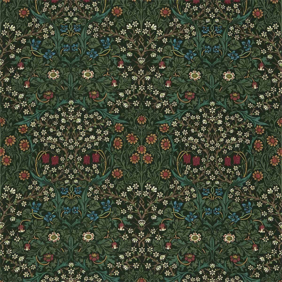 Blackthorn 226707