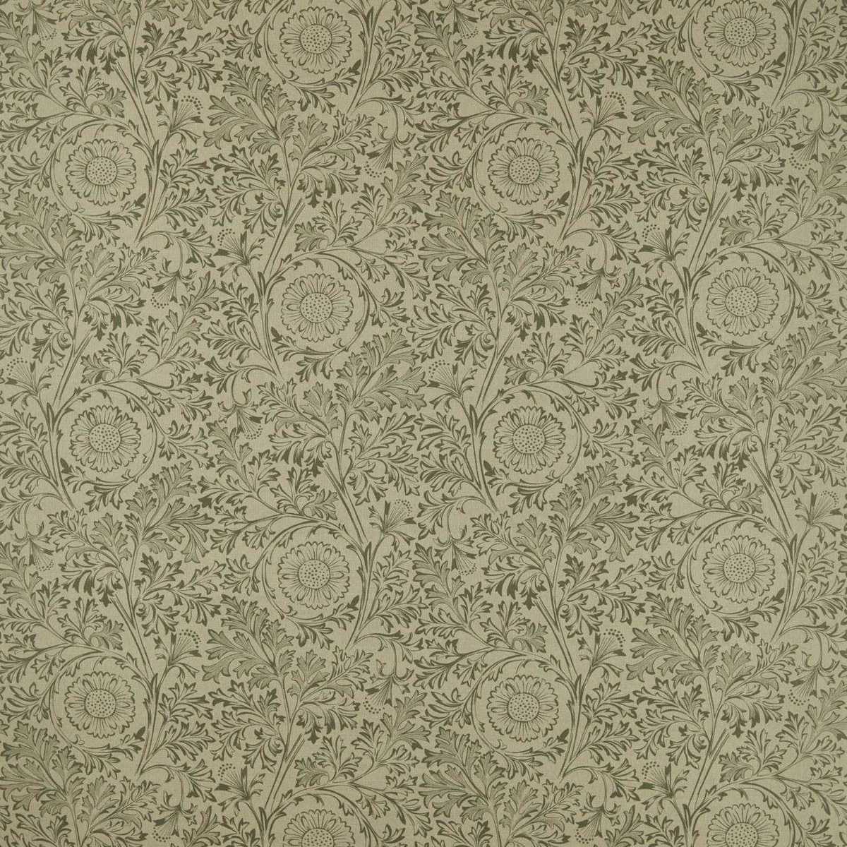 Chamomile 227388