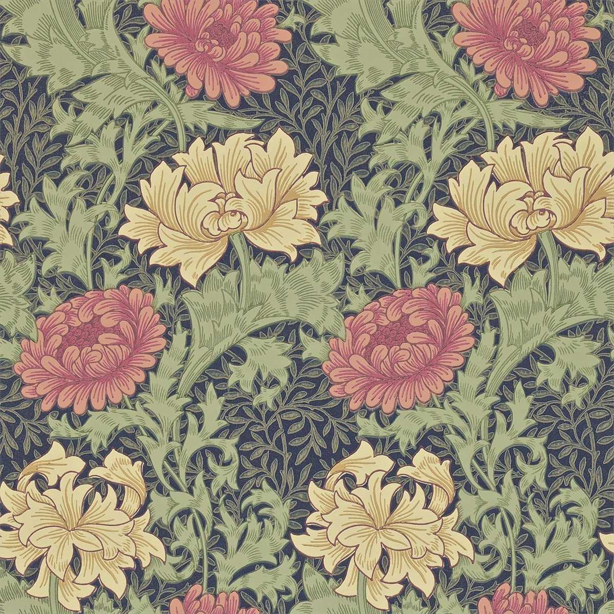 Chrysanthemum 212549
