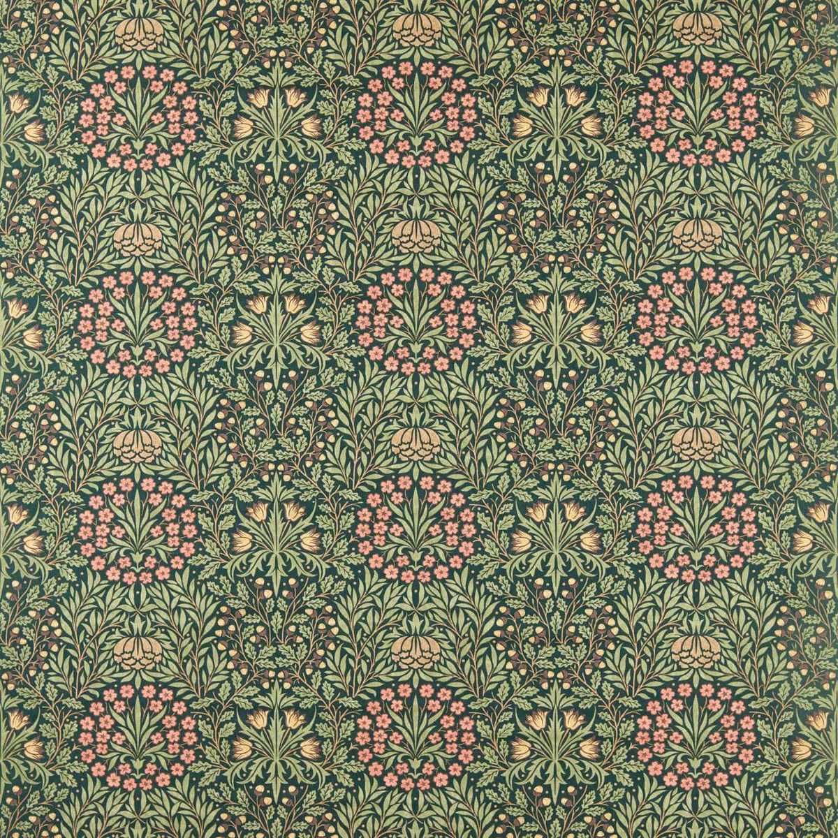 Daisy & Oak 227372