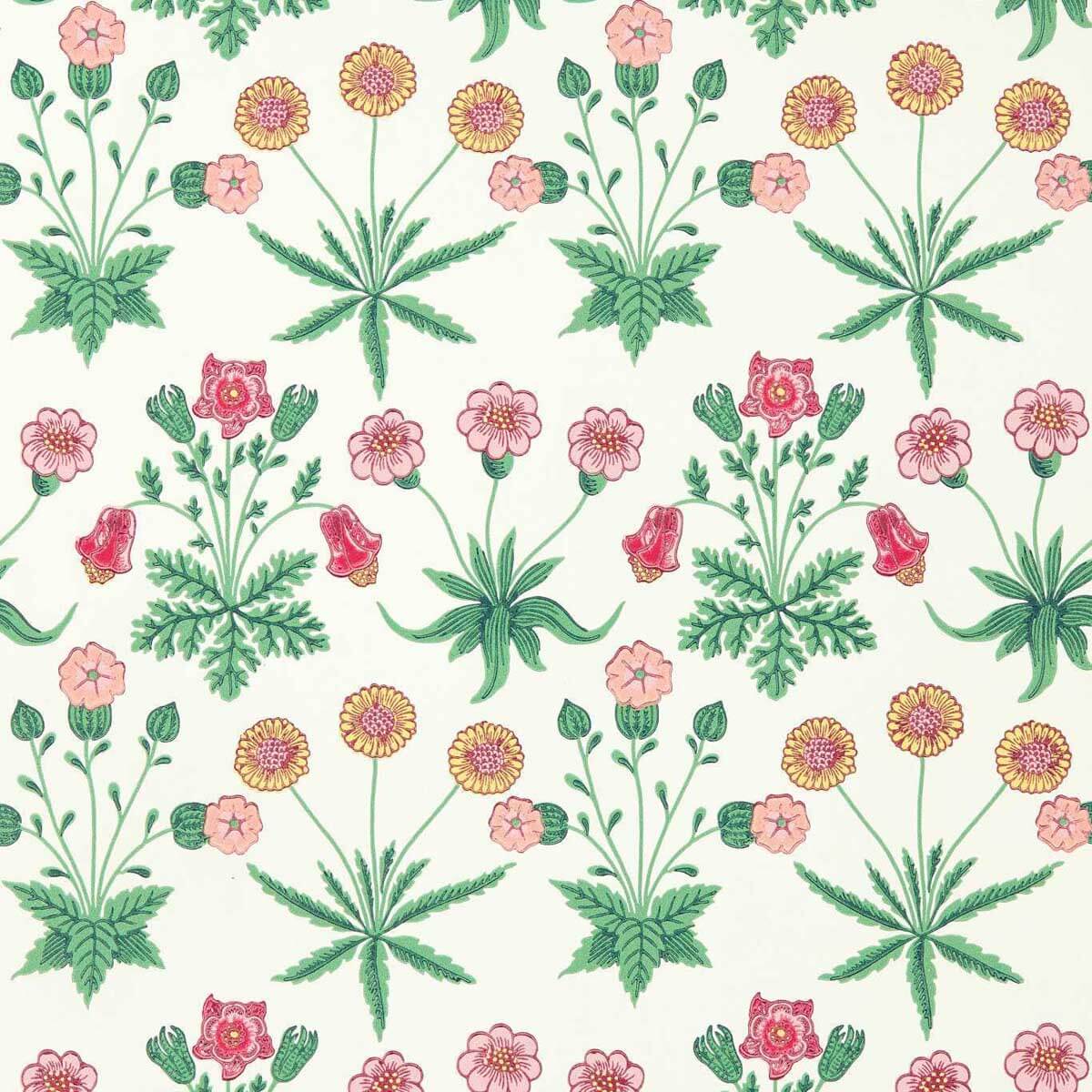 Daisy 510005