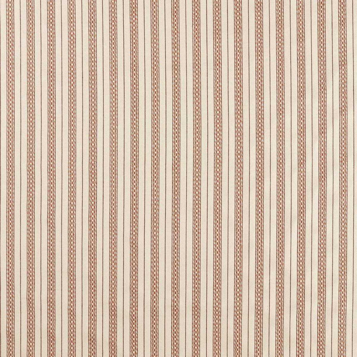 Elm Stripe 237682